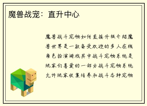 魔兽战宠：直升中心