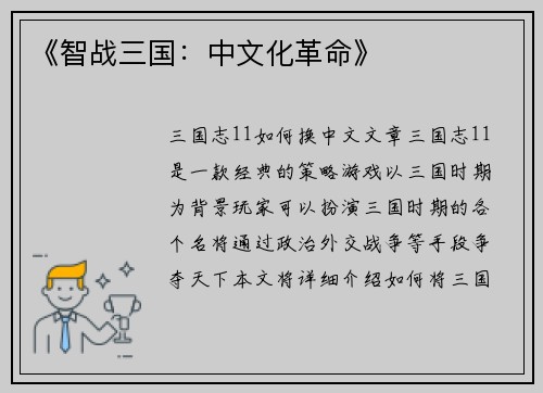《智战三国：中文化革命》